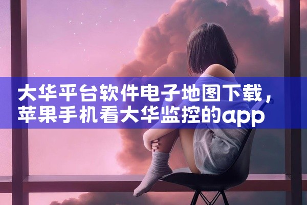 大华平台软件电子地图下载