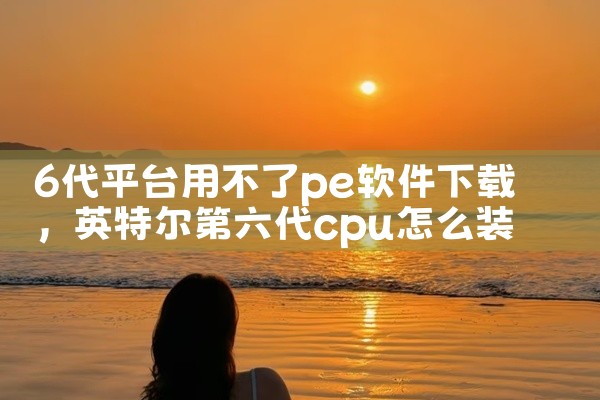 6代平台用不了pe软件下载