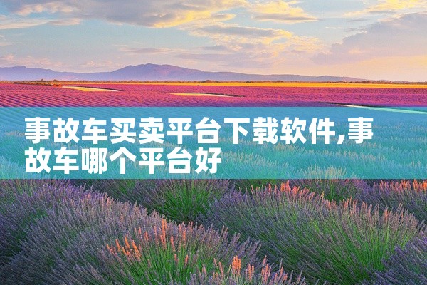 事故车买卖平台下载软件