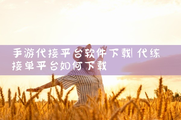 手游代接平台软件下载
