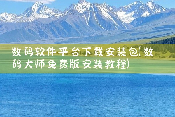 数码软件平台下载安装包
