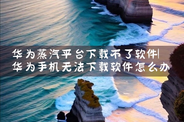 华为蒸汽平台下载不了软件