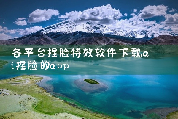 各平台捏脸特效软件下载